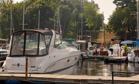 Boats docked at the marina