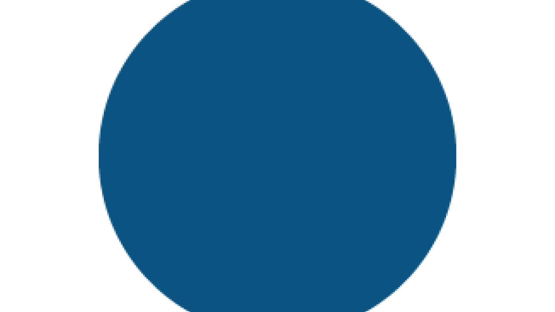 Dark blue circle on white background.