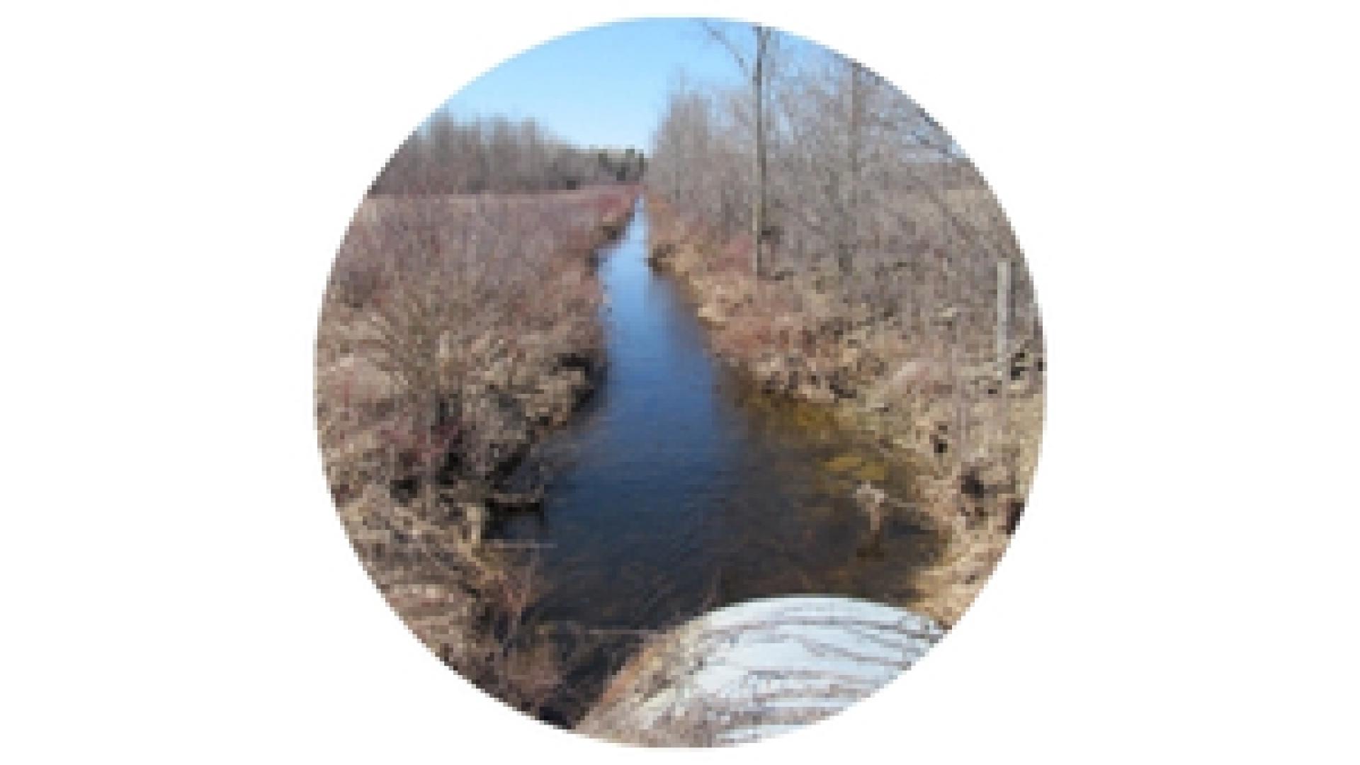 View of a municipal drain with flowing water, surrounded by leafless trees and vegetation.