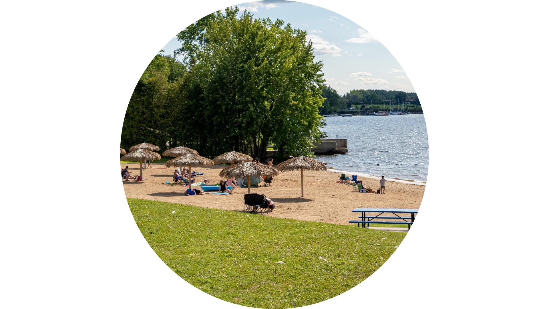 People relaxing on a sandy beach along the Ottawa River, with lounge chairs, trees, and waterfront views in the background.