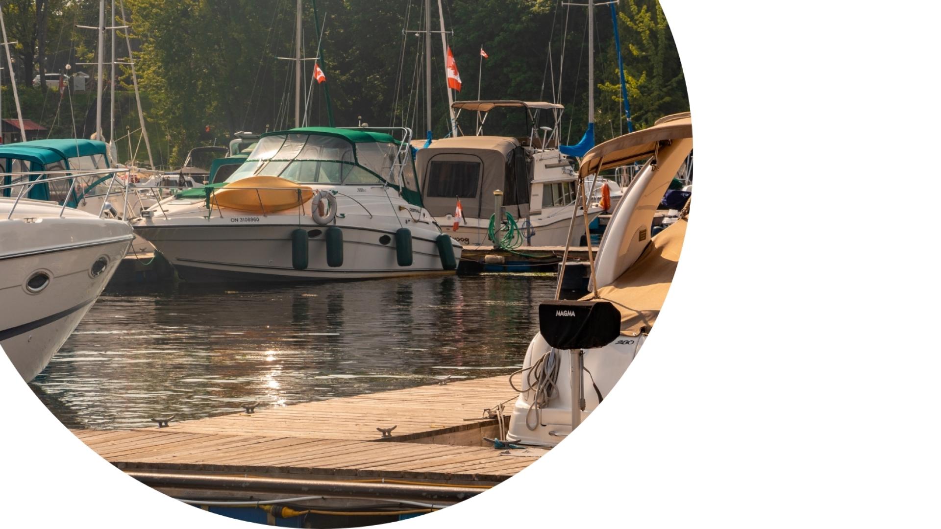 Boats docked at a marina along a calm waterfront, with sailboat masts and shoreline trees visible in the background.