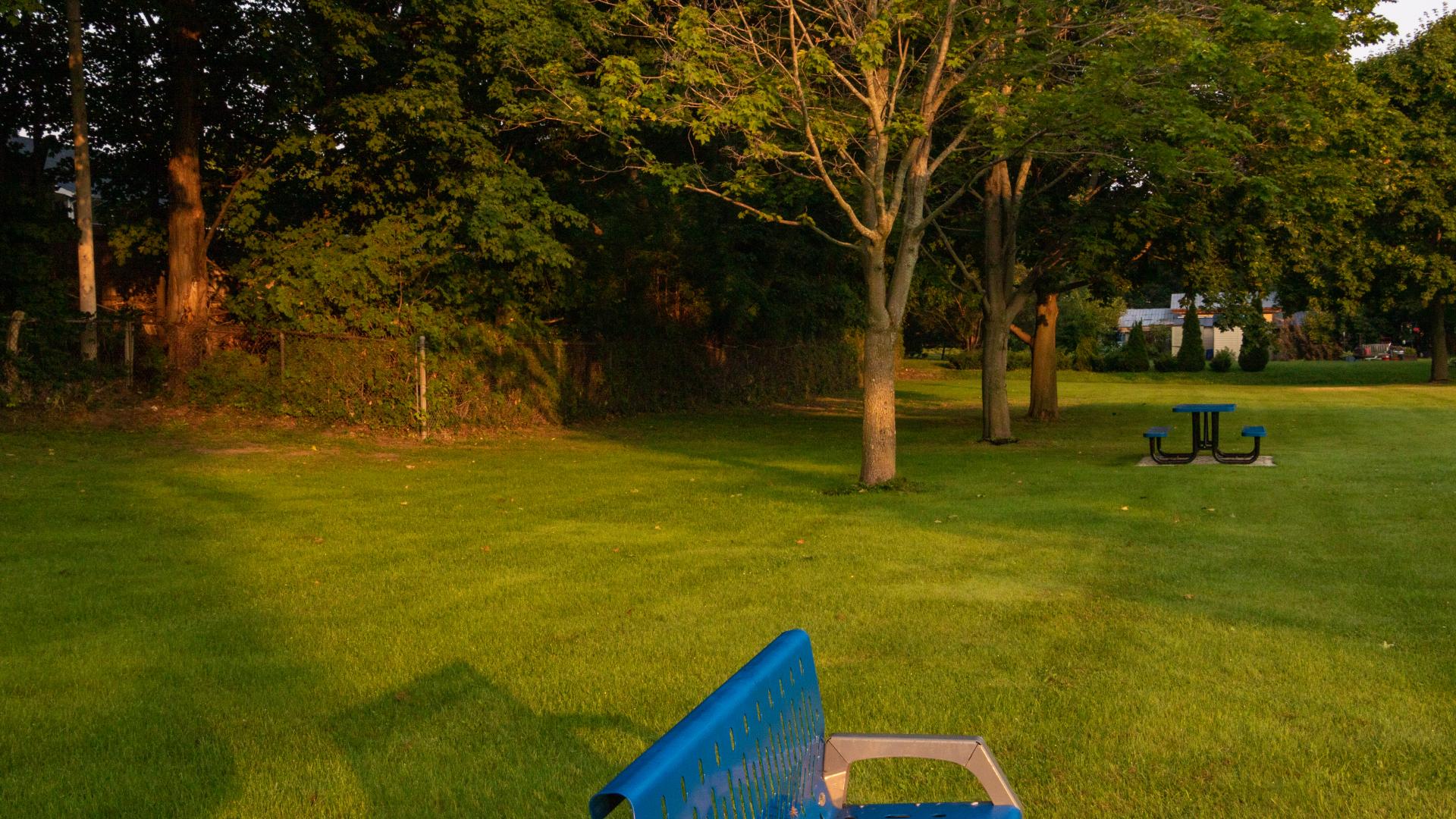 Park bench overlooking an open grassy area with picnic tables and a wooded backdrop.