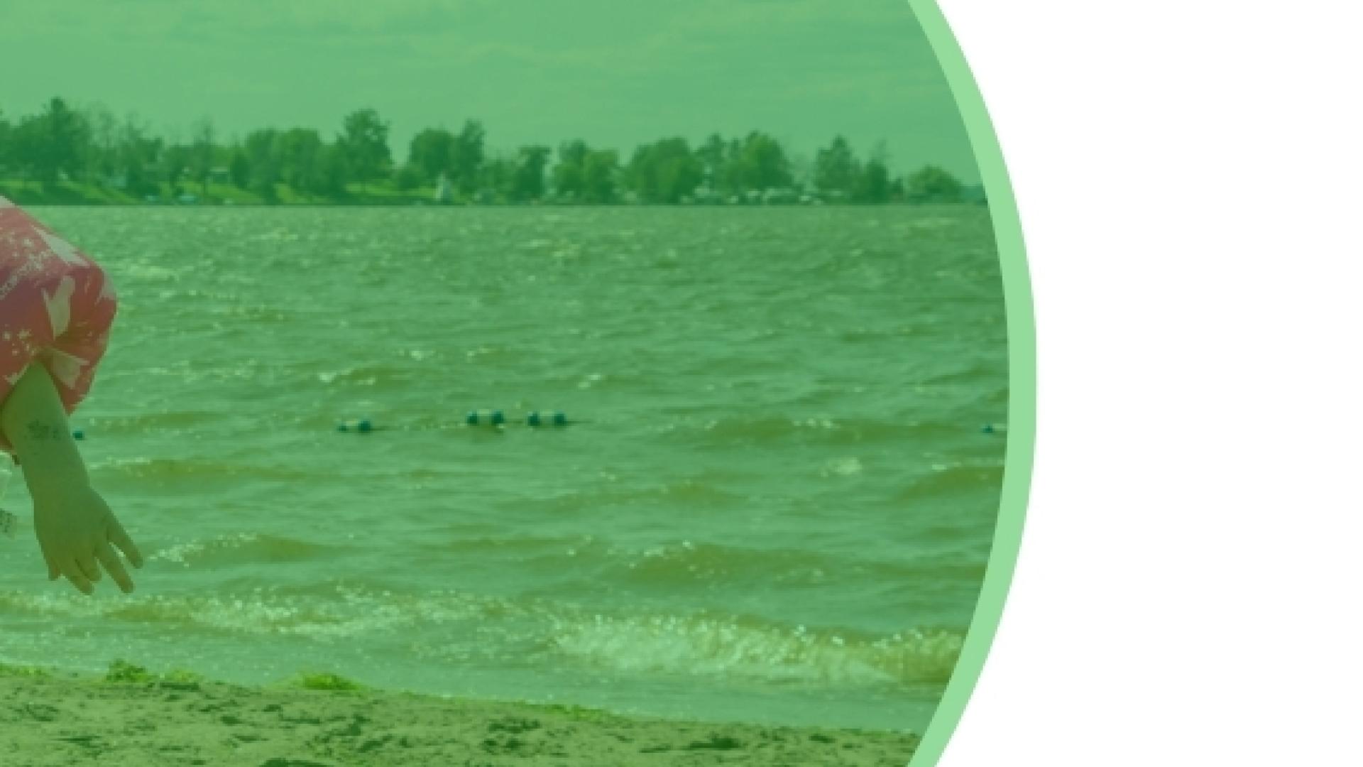 Sandy beach shoreline with small waves on a lake, a tree line visible across the water in the distance, and part of a person in a red top