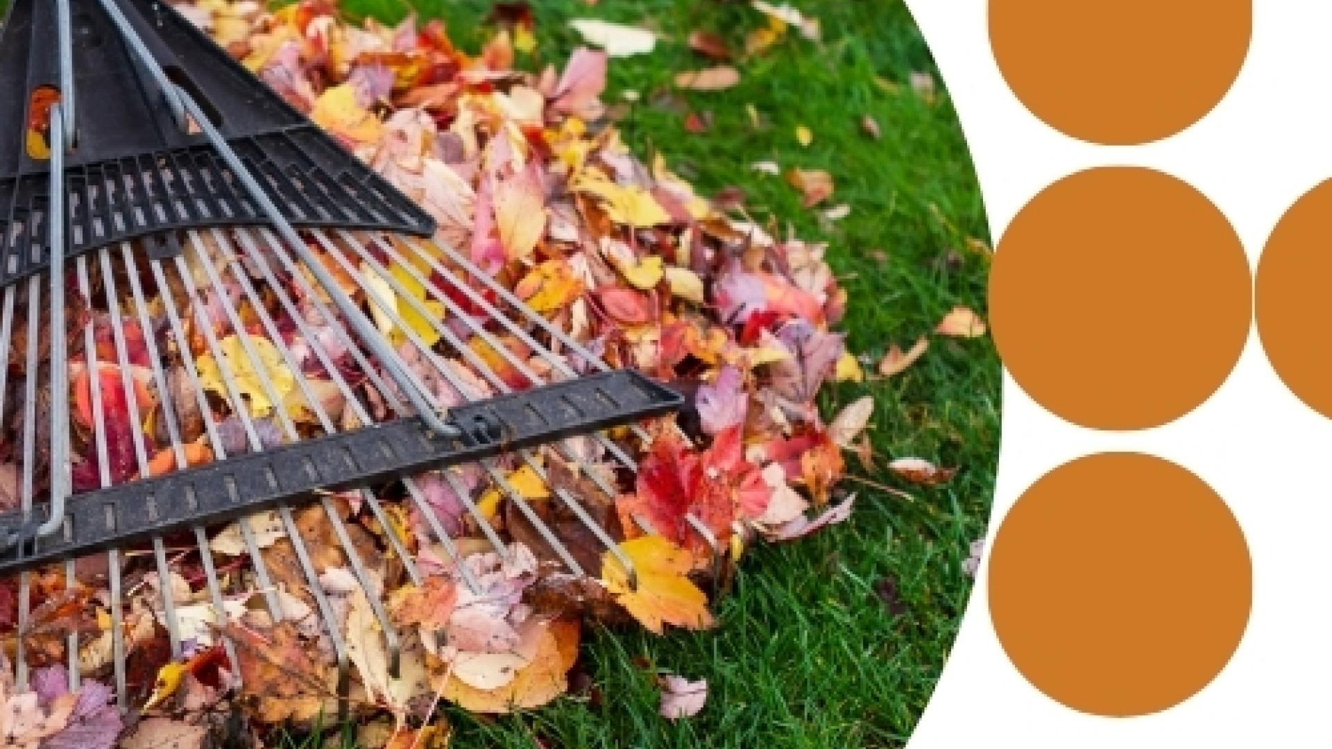 pile of leaves being cleaned up during the fall