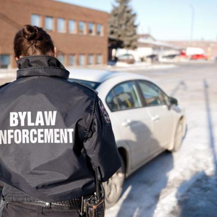 bylaw enforcement officer looking at a car parked on the street