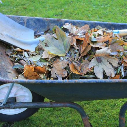 leaves and grass in a wheelbarrow with a shovel