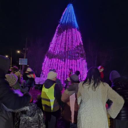 people looking at a community giant christmas tree being illuminated