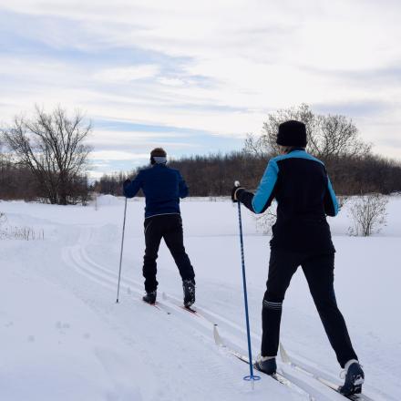 two people doing cross country skiing on a trail