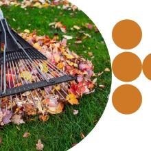 Garden rake gathering fallen autumn leaves on a grassy lawn, with orange decorative circles beside the image.
