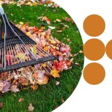 pile of leaves being cleaned up during the fall