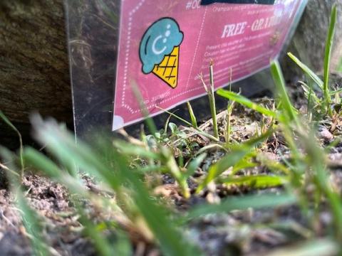 Grass close-up with a pink sign displaying a drawing of an ice cream cone.