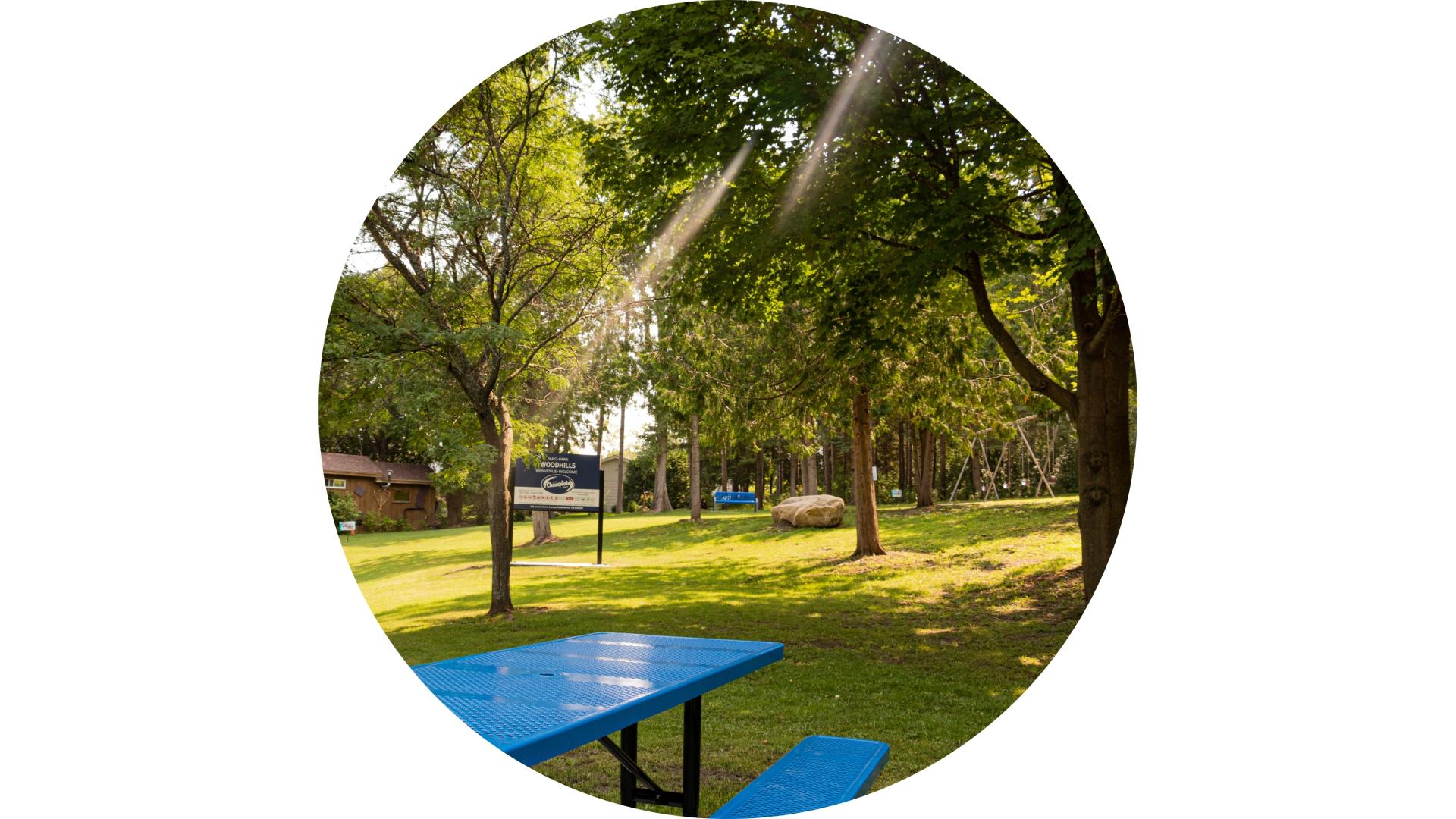 Parc boisé comprenant de vastes espaces verts, des tables de pique-nique, des arbres matures et une aire de jeux, avec la lumière du soleil filtrant à travers le couvert forestier